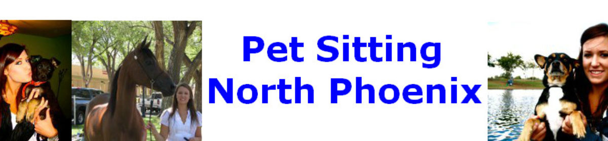 Pet Sitting North Phoenix